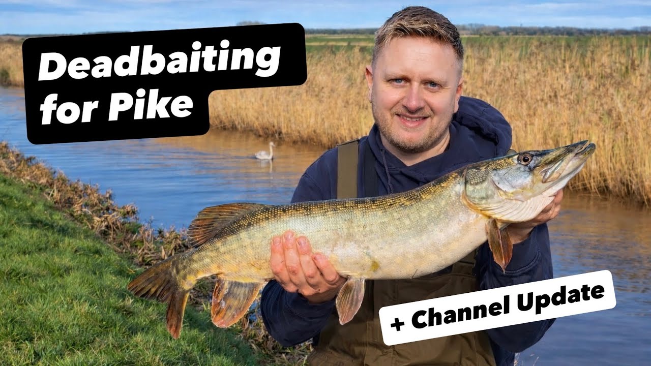 Deadbaiting for Pike Using Single Circle Hooks