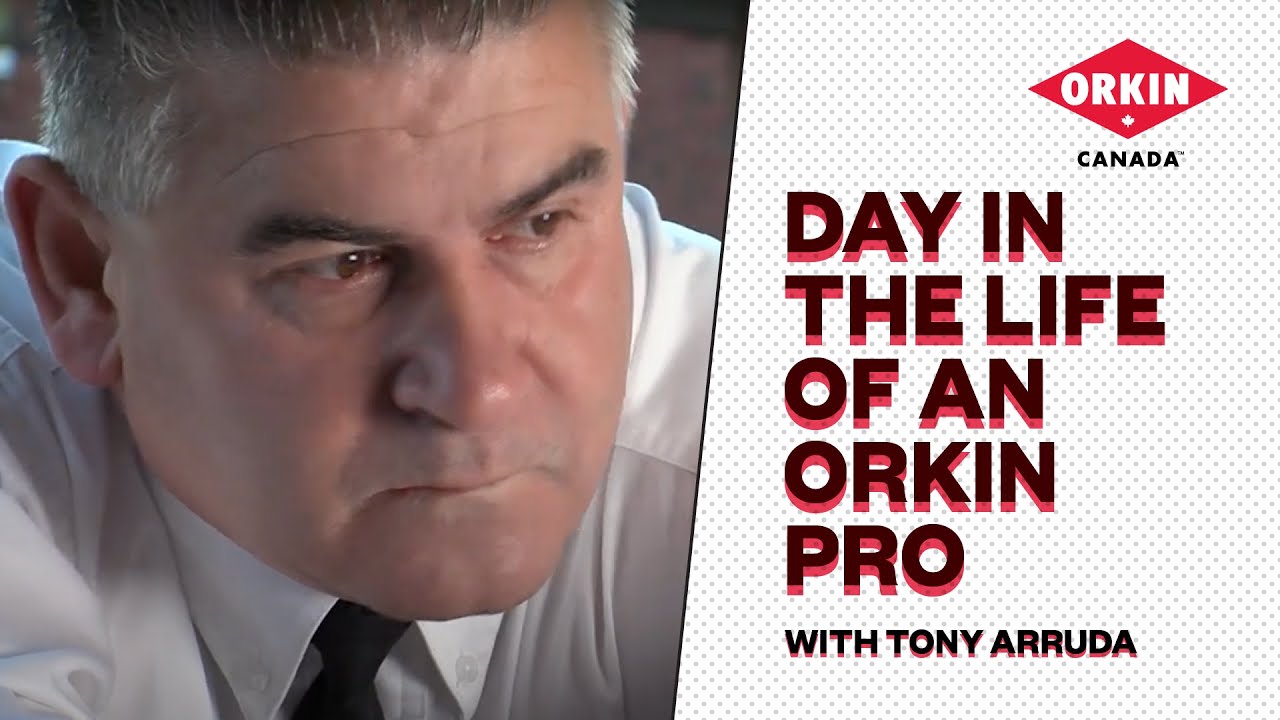 Day in the Life of A Pro Featuring Tony Arruda  | Orkin Canada