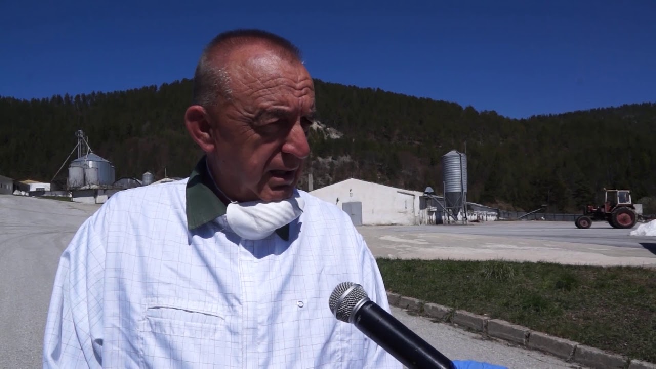 Производител на яйца от Смолян, вместо да съкращава, търси работници