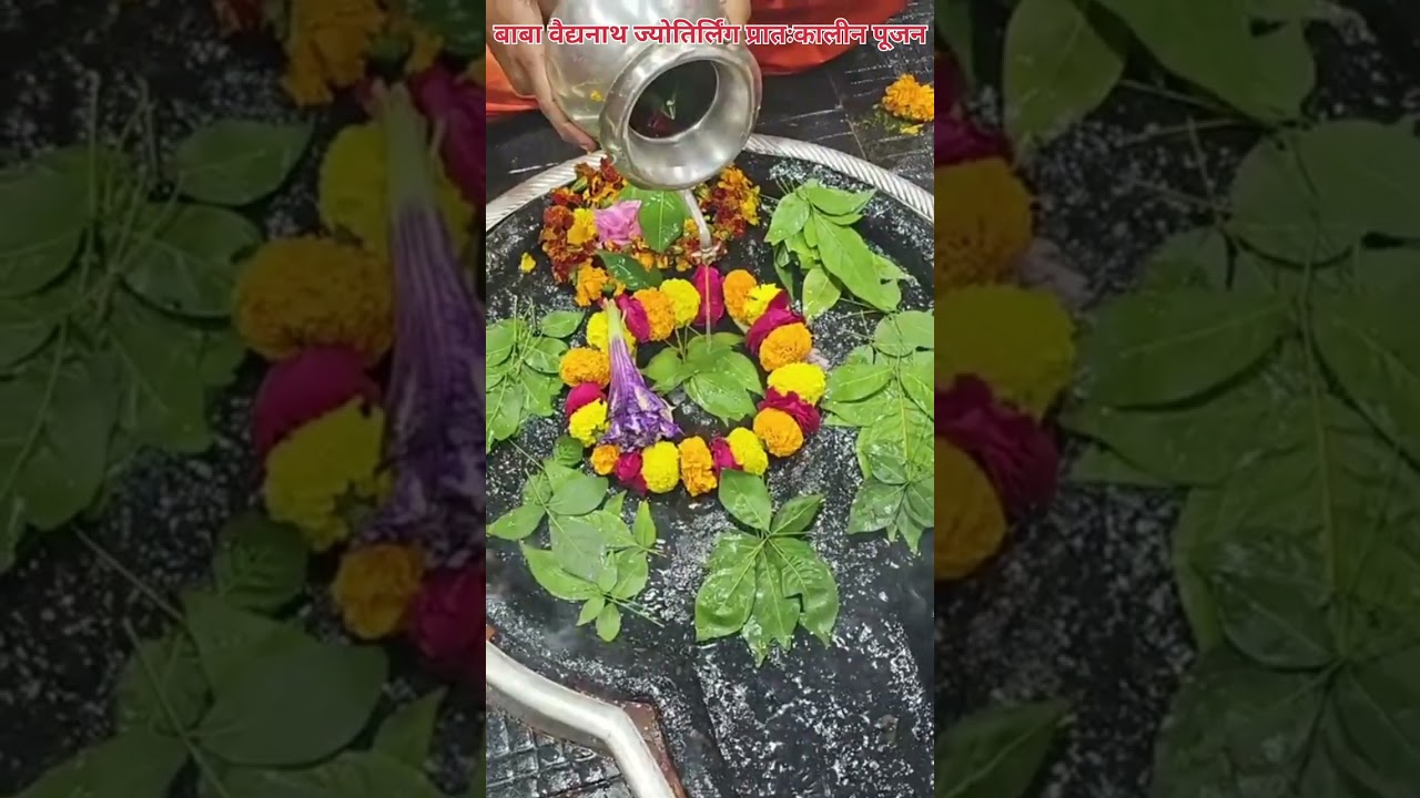 🌺🌿⚘️ बाबा वैद्यनाथ ज्योतिर्लिंग प्रातःकालीन पूजन 🌺🌿⚘️ 7/1/2026 #deoghar #babadham #bholenath #viral 