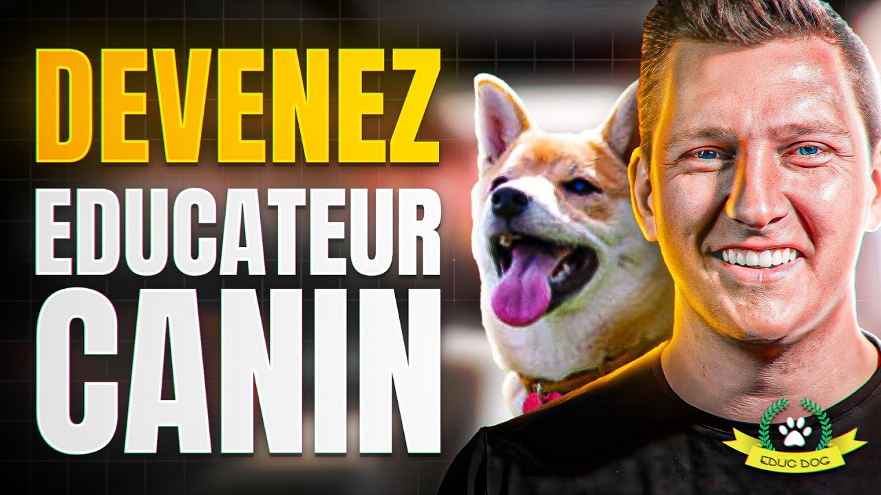 Comment Devenir Éducateur Canin En 2025 (les 4 étapes clés)
