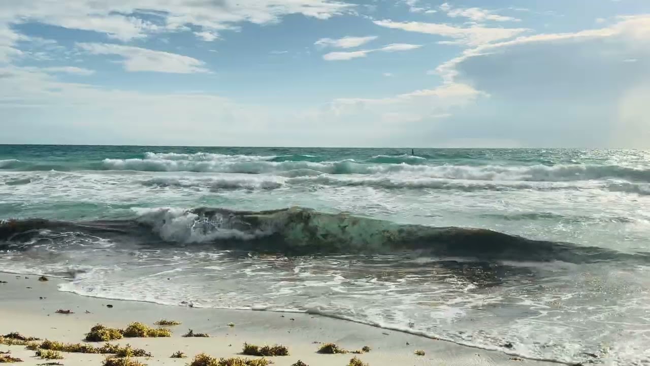 Relax with #OceanWaves at the #Beach 🌊 #Sleep #Meditation #relaxation 