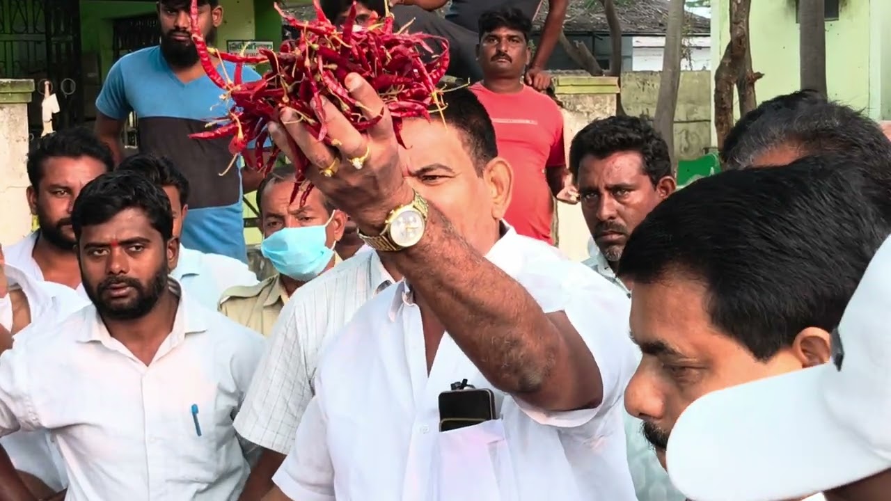 ఈరోజు ఖమ్మం మిర్చి మార్కెట్లో తేజ రకం జెండా పాట🚩🚩🚩🌶️🌶️🌶️🔔🔔🔔సబ్స్క్రయిబ్ 👍🙏🙏🙏