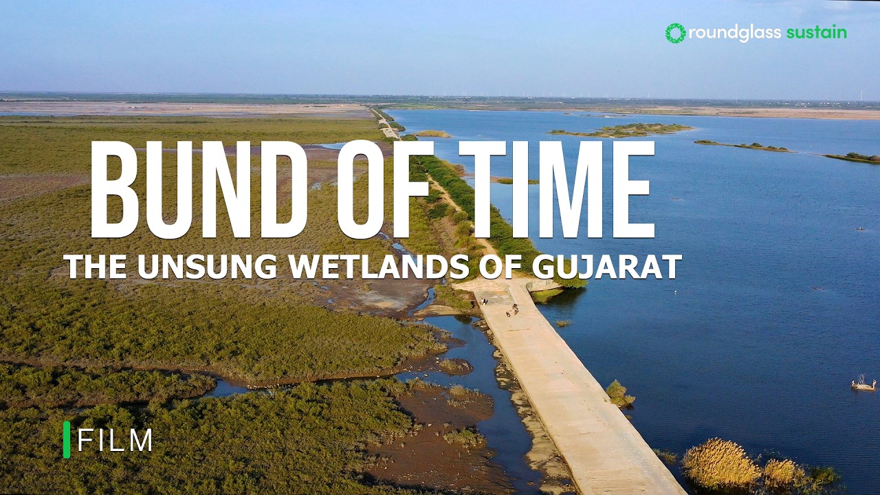 A Bund in Time: The Unsung Wetlands of Gujarat | History of Gujarat Wetlands | @RoundglassSustain