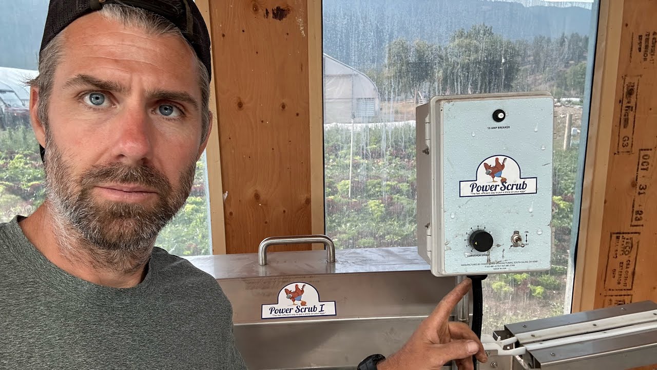 Обзор за первый год: моечная машина для яиц Power Scrub Model 1 | Плюсы и минусы для небольших ферм