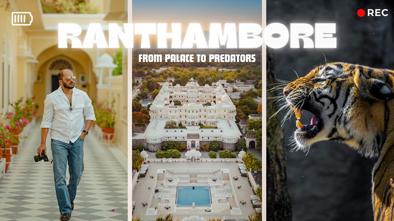 Ranthambore National Park | From Palace to Predators |  A Cinematic Adventure