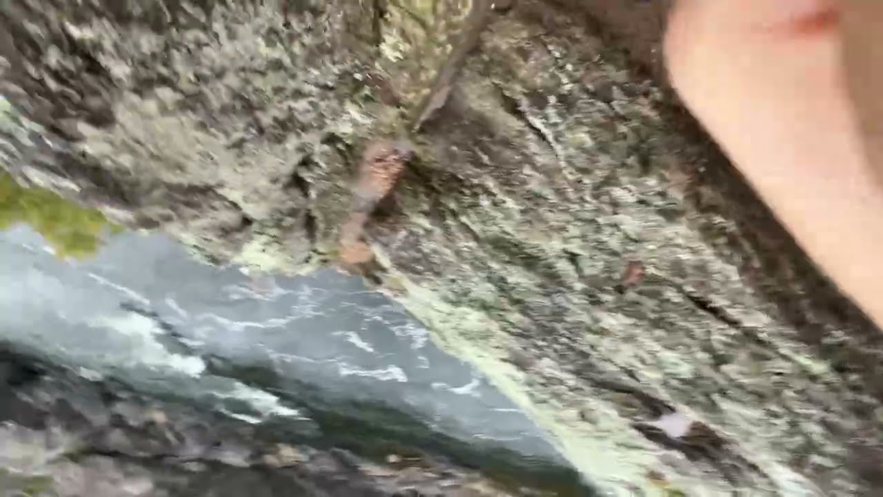 4K Walking at Great Falls