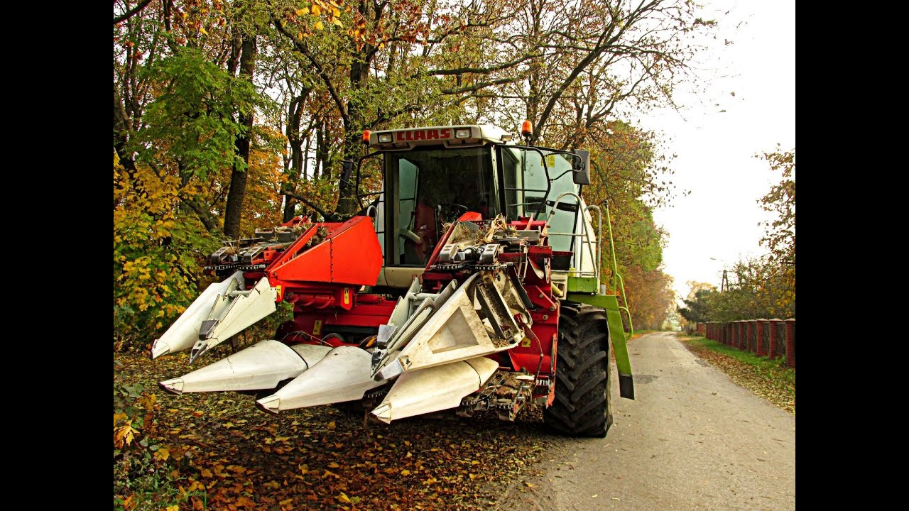 Kukurydza z Claas Lexion 440 i McCormick