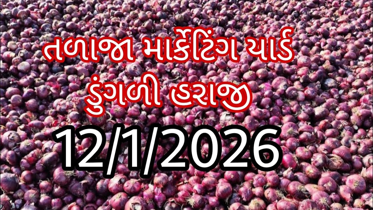 તળાજા માર્કેટિંગ યાર્ડ ડુંગળી લાઈવ #Dungri  #Talaja marketinglive #bazarbhav #Dungri#Bhavnagar