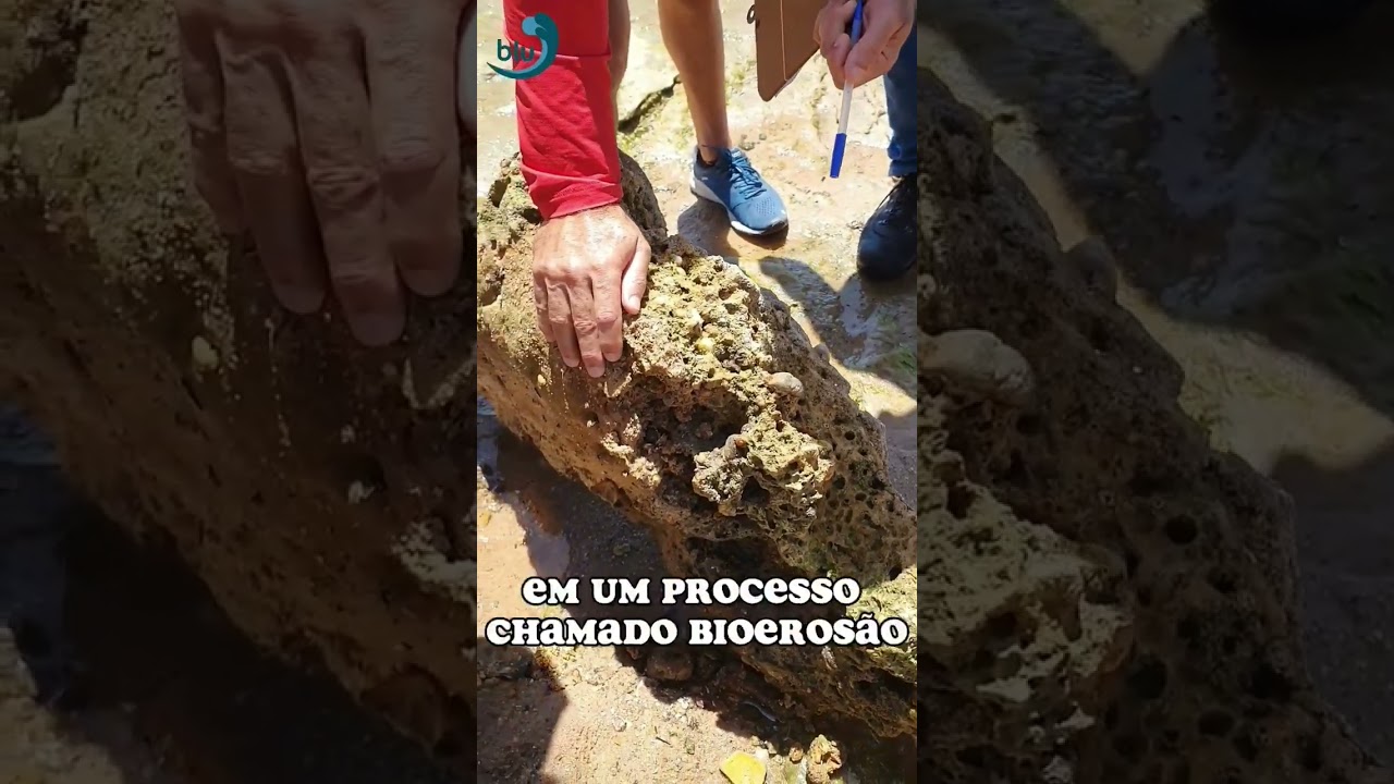 Como é uma aula de campo de OCEANOGRAFIA?     