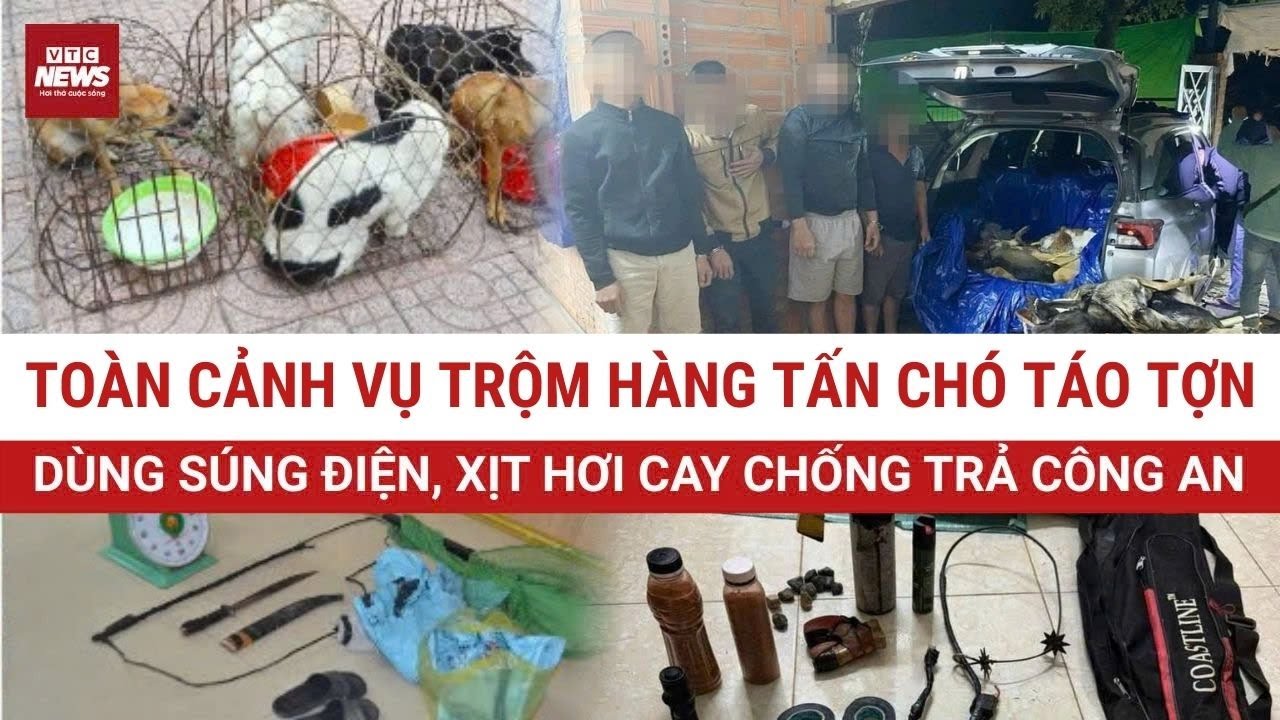 Hàng tấn chó bị trộm cắp, tiêu thụ: Dùng súng điện, bình xịt hơi cay trống chả khi bị truy bắt