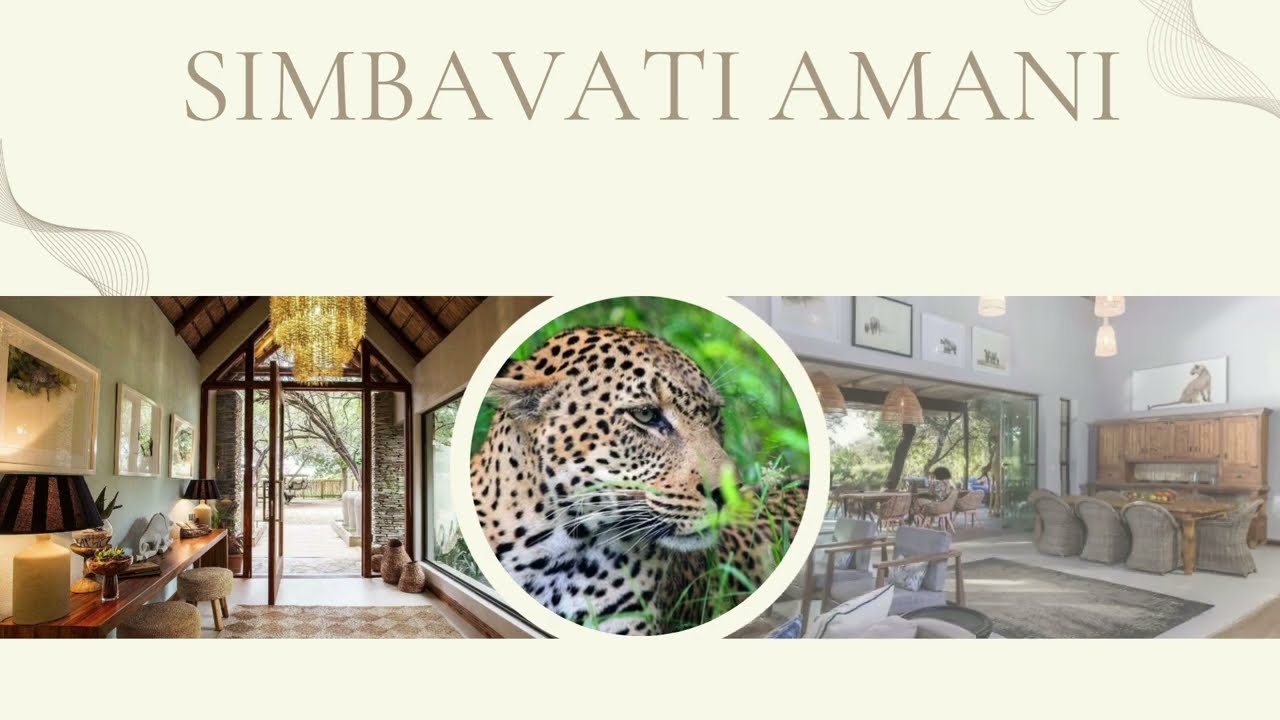 Top 5 Luxury Lodges in Hoedspruit, Limpopo | Ultimate Safari Experience in South Africa