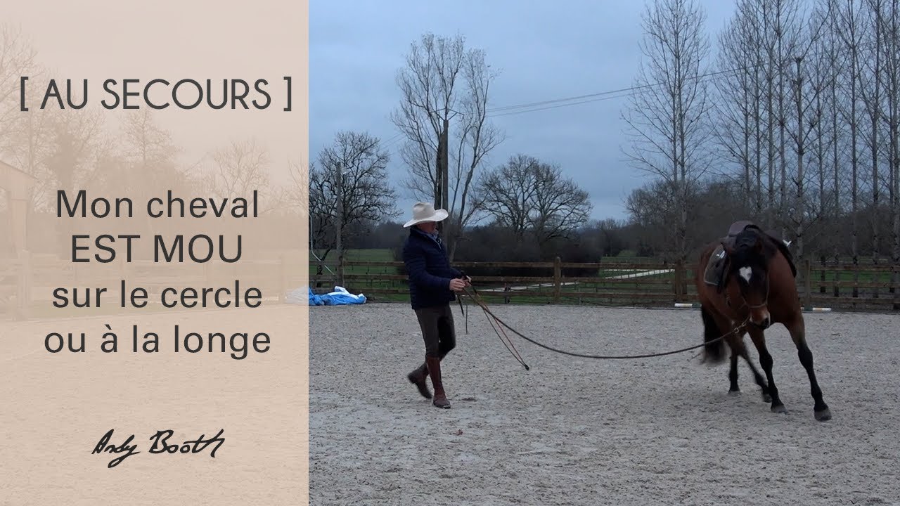 [Au Secours] Mon cheval est MOU sur le cercle ou à la longe !