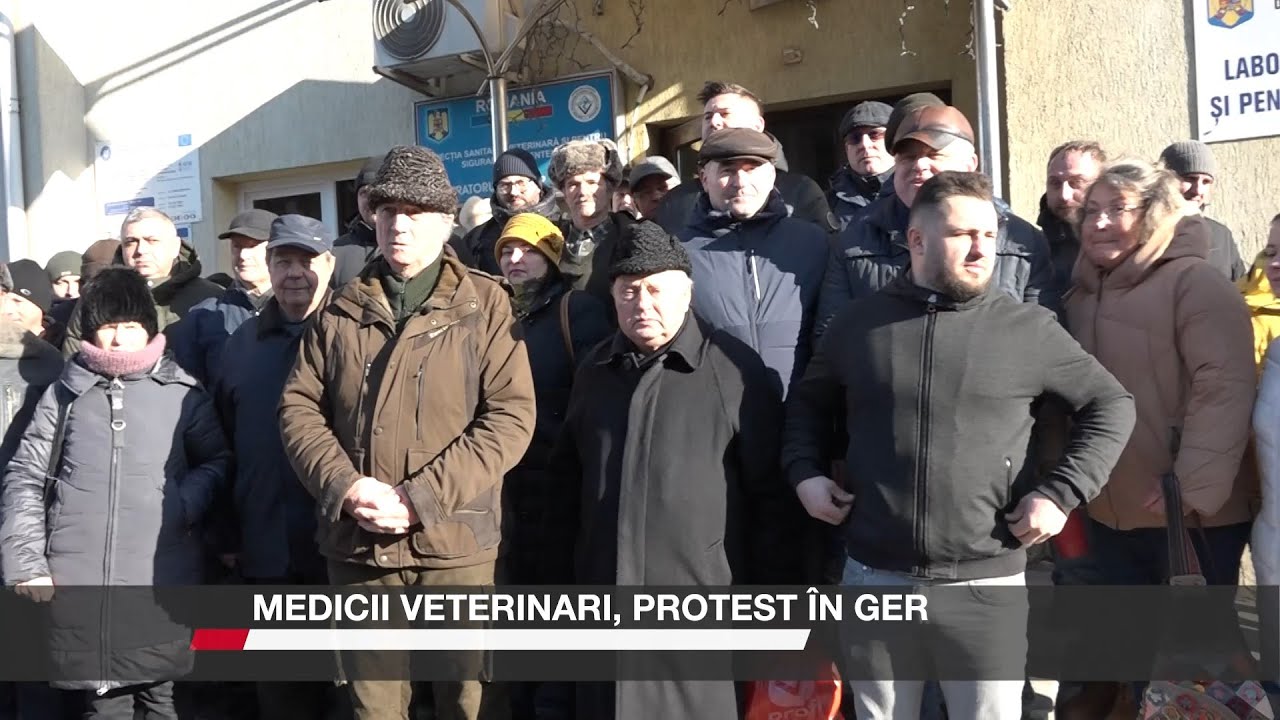 Medicii veterinari, protest în ger