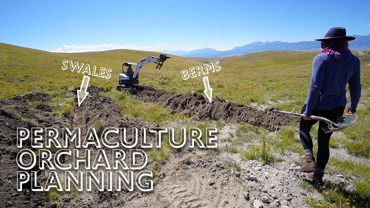 Starting Our Permaculture Food Forest Orchard | Swales, Berms, and Fall Tree Planting Off Grid