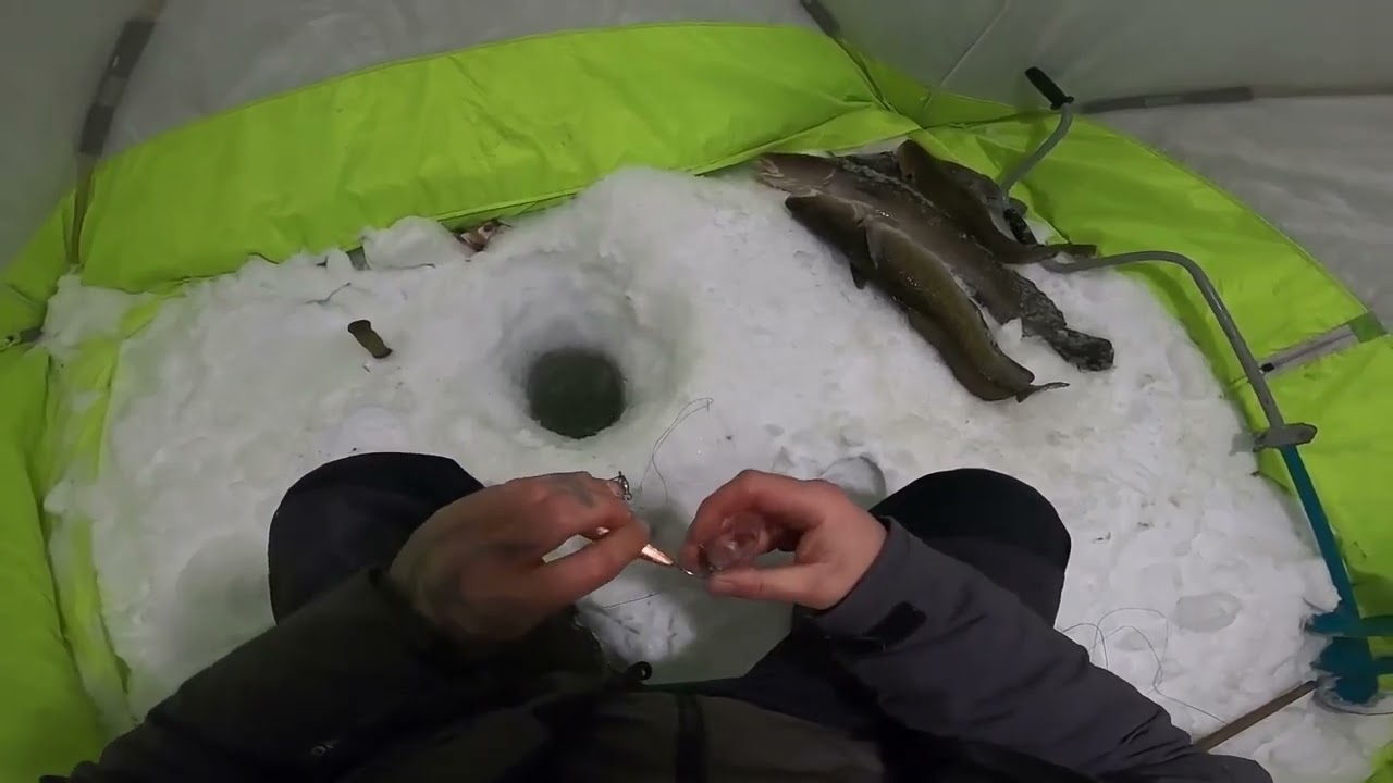 Winter Catfish Fishing with the Tapping Technique | A Wonderful Cold-Weather Experience!