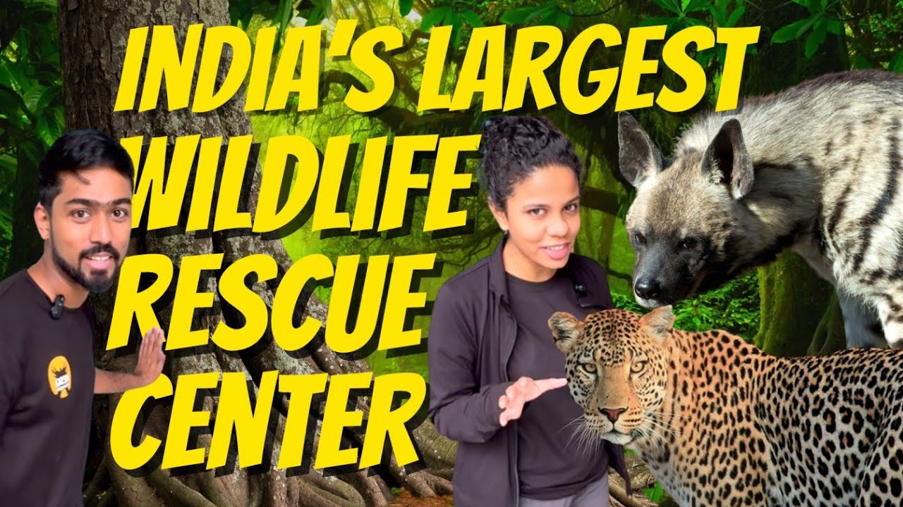 Inside India&rsquo;s Largest Wildlife Rescue Centre | RESQ CT Pune