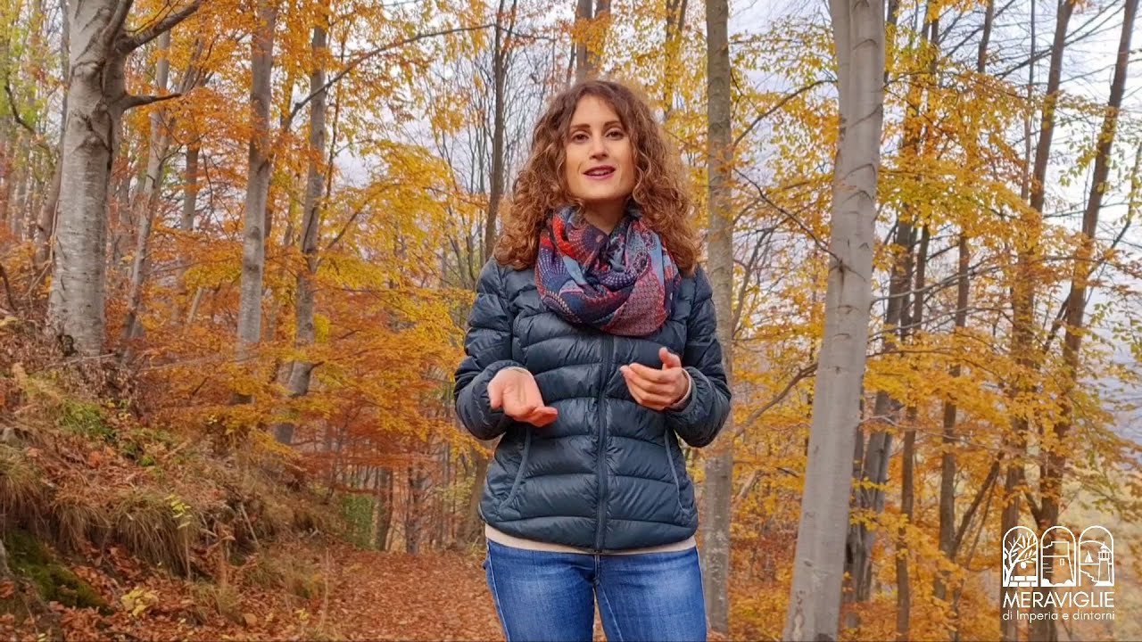 Bosco di Rezzo: un tesoro naturale e storico
