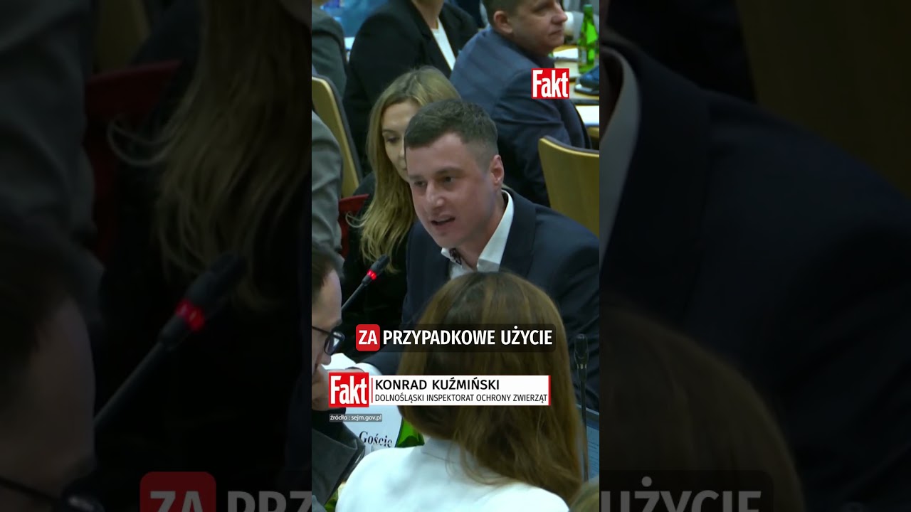 GDZIE SĄ DYMISJĘ?! W schroniskach BRUD, SMR&Oacute;D i nikt z tym nic nie robi! | FAKT