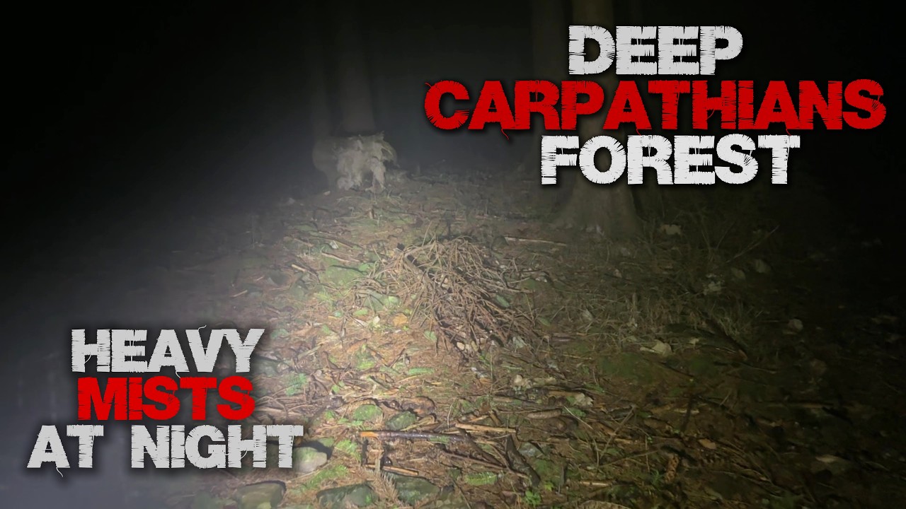 Mist at Night in Carpathians Montains Forest | Night Walking