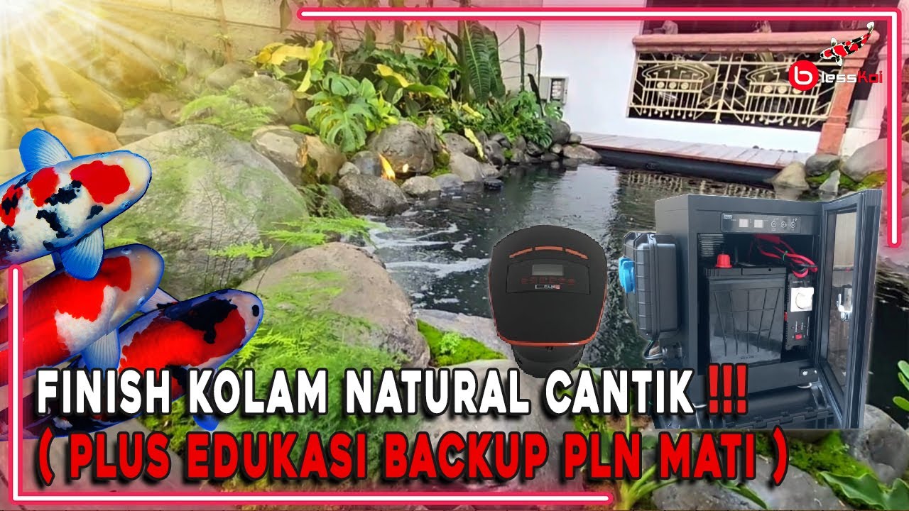 FINISH KOLAM NATURAL CANTIK❗️❗️❗ ( PLUS EDUKASI BACKUP PLN MATI )