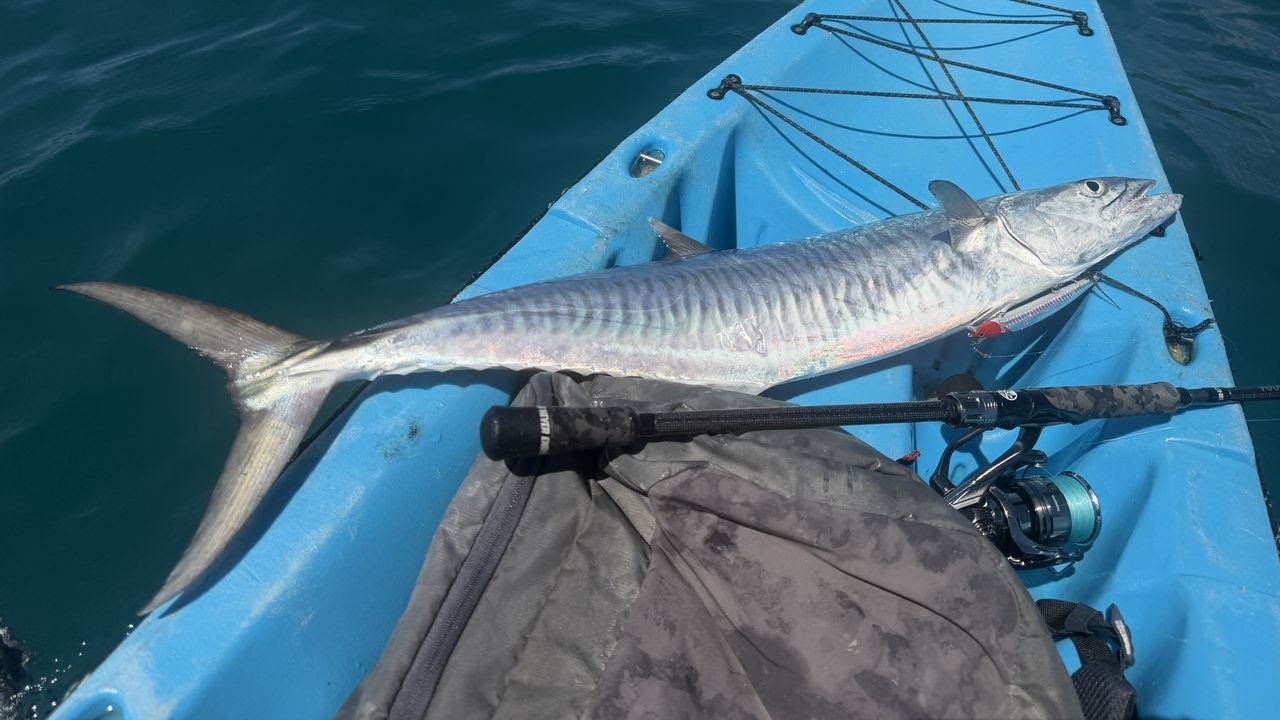 Kayak micro jig fishing, crazy giant mackerel! Phuket