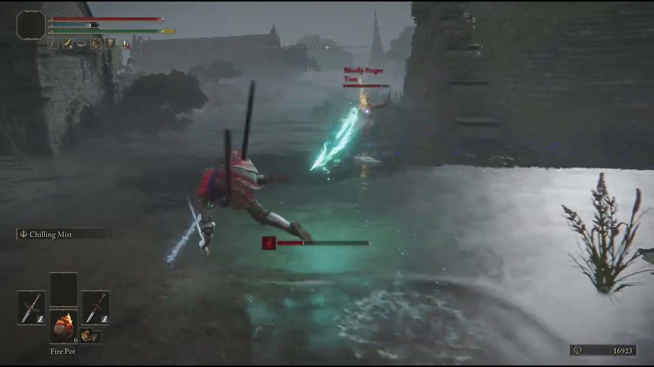 ELDEN RING pvp hosting 6
