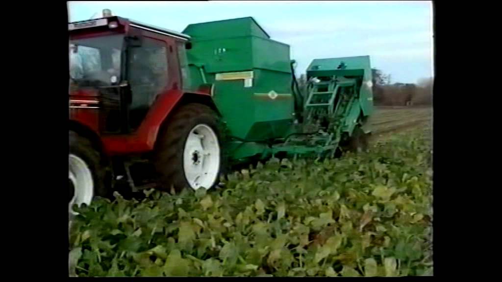 Armer Salmon Beet Harvester Range