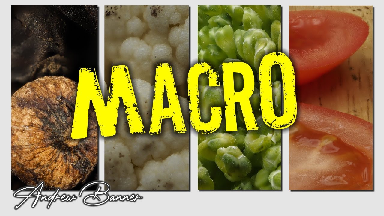 Kitchen Macro Photography with LED Light Box