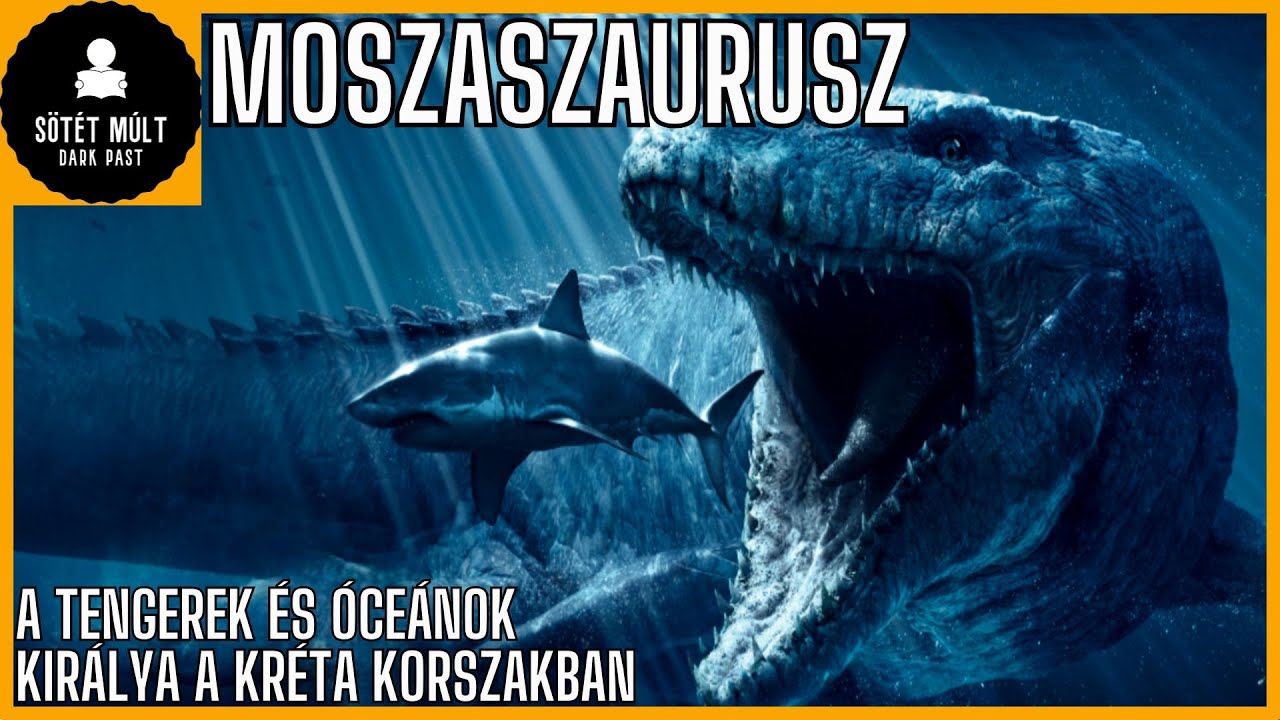 A dinoszauruszok korában élő tengerek királya. Moszaszaurusz röviden
