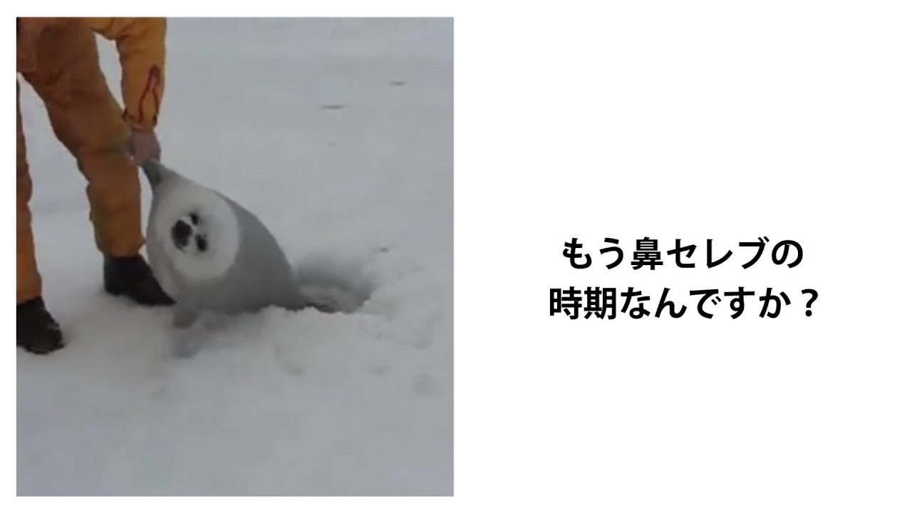【神回】天才的なボケてにツッコミ入れてみた。【傑作選】【#9】