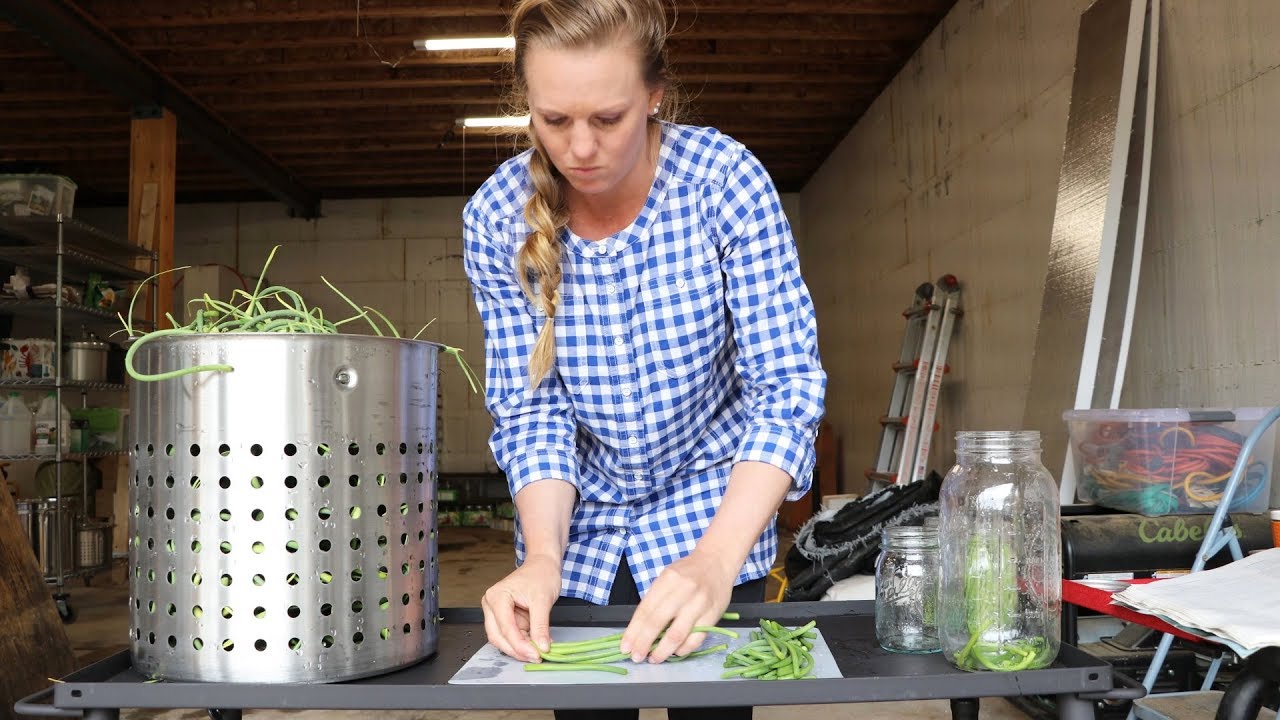 Canning for Beginners: How to Preserve Garlic Scapes (Pickling)