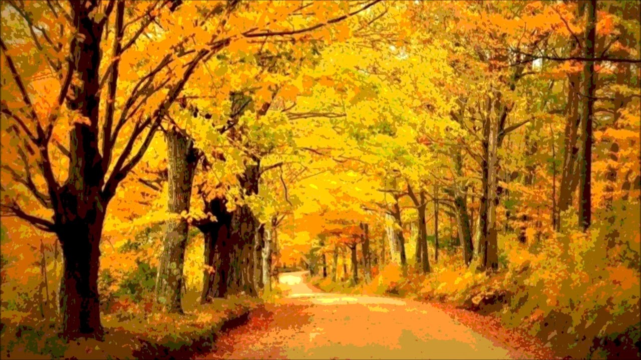 Walk in autumn (Original relaxing piano solo music)