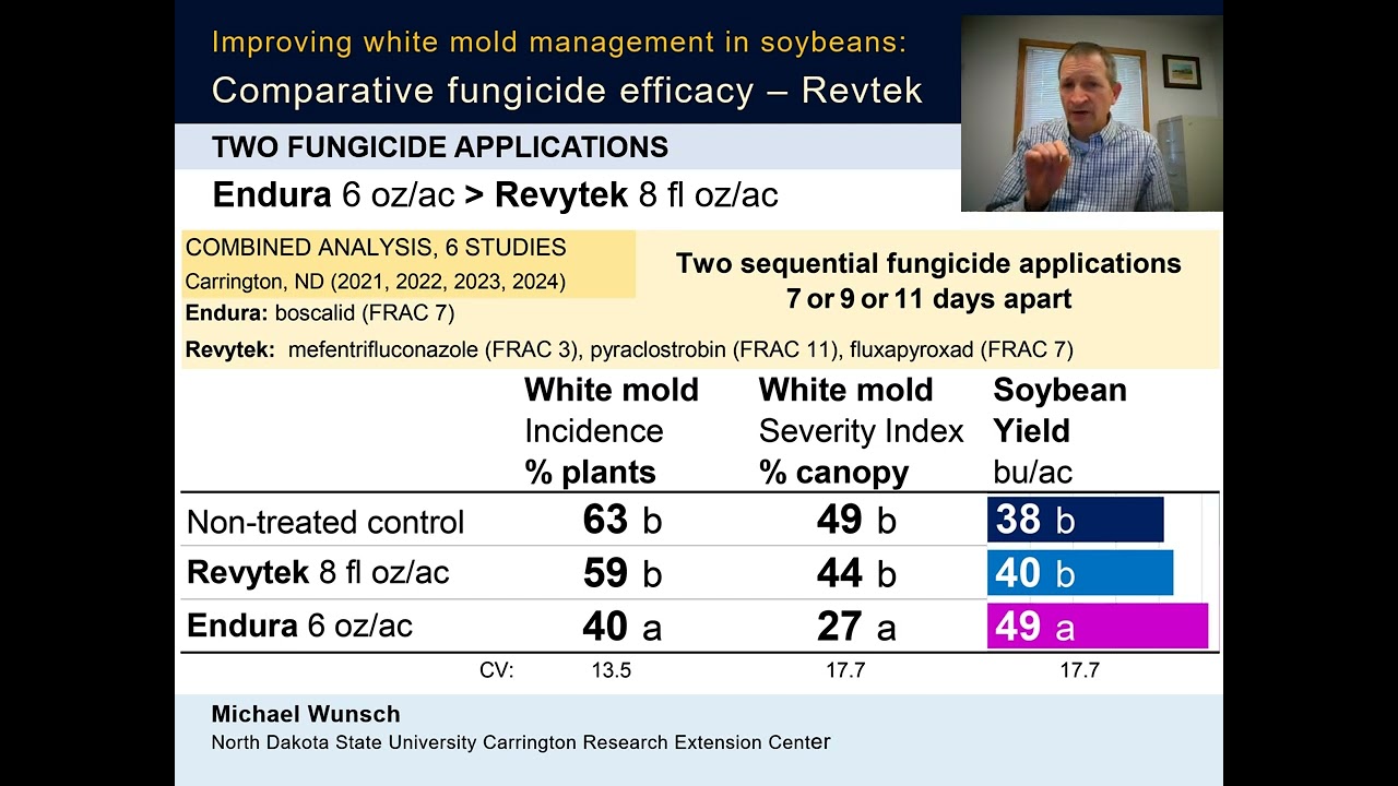 2025 Soybean REVYTEK White Mold Fungicide Efficacy VIDEO