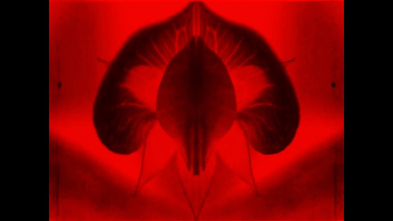 Damien Eden - Deep Mind | Music Video | Trip Hop