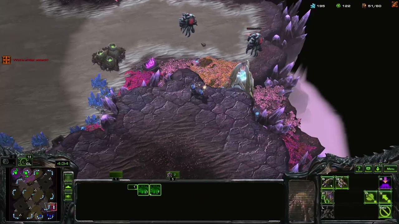 20251025 - NA Server Diamond Zerg/Protoss 1v1 Ladder Struggle