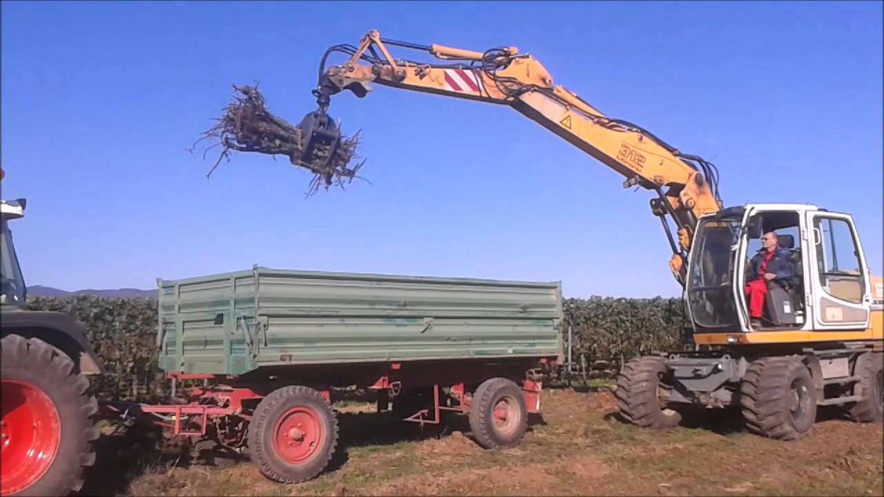 Weinberge roden mit dem Mobilbagger