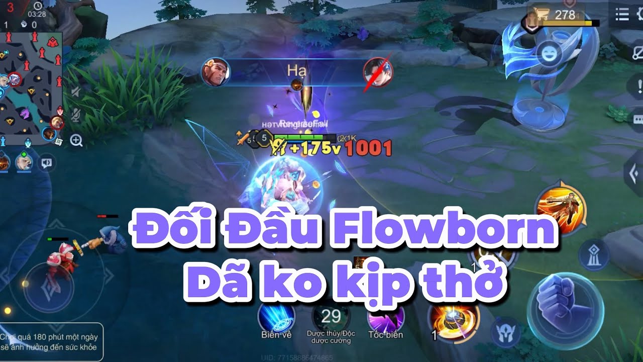 Elsu đ&aacute;y x&atilde; Hội . Top Elsu Vẫn c&oacute; thể củ h&agrave;nh tướng mới Flowborn ko trượt ph&aacute;t n&agrave;o Với buid đồ chuẩn