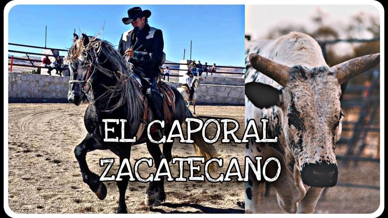 RODEO Y CABALLOS! la HISTORIA de ELISEO MARTINEZ, EL CAPORAL ZACATECANO!