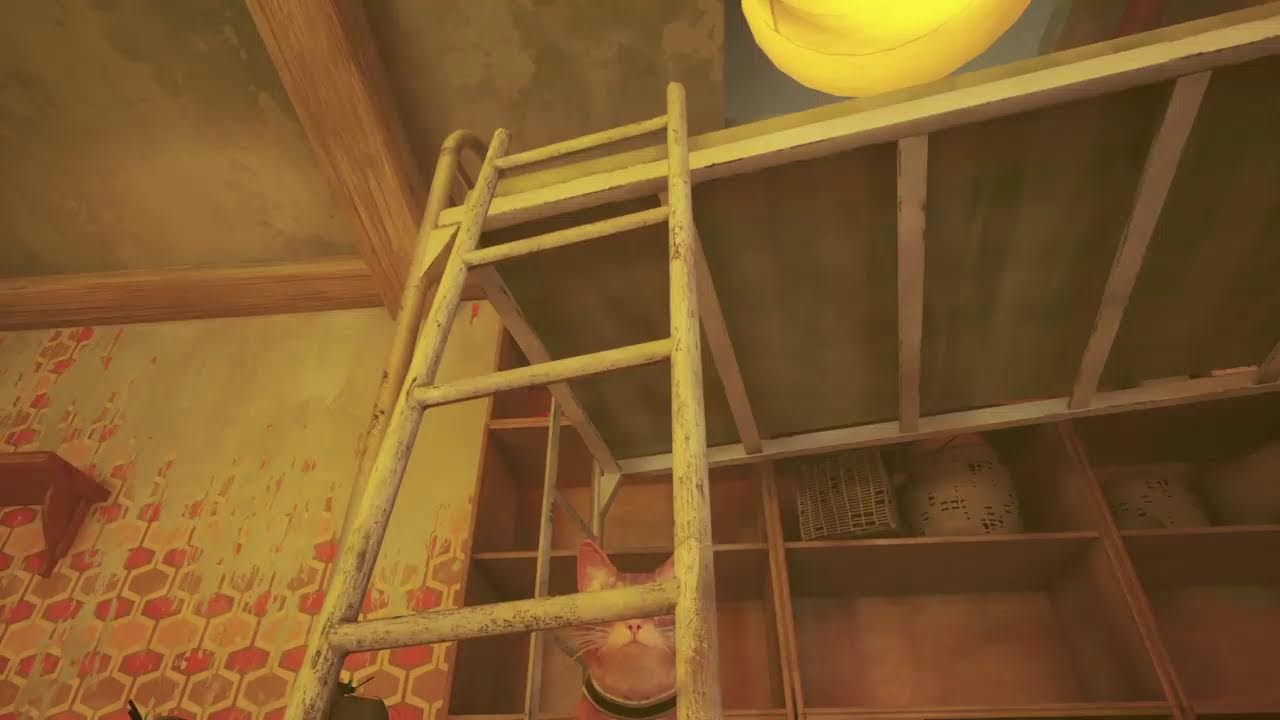 Stray Inicio gameplay
