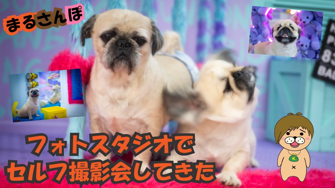 フォトスタジオでセルフ撮影会してきまるた！ぽ！【まるちぇぽ🏠】