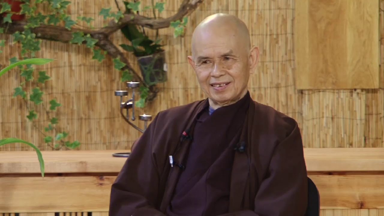 (10) Do Buddhists Believe in Hells and Retribution? | Thich Nhat Hanh, 2014 06 21