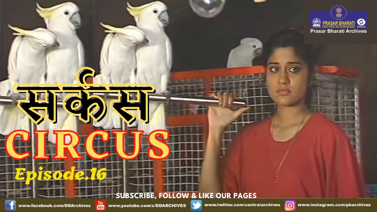 Circus | Episode 16 | Shahrukh Khan