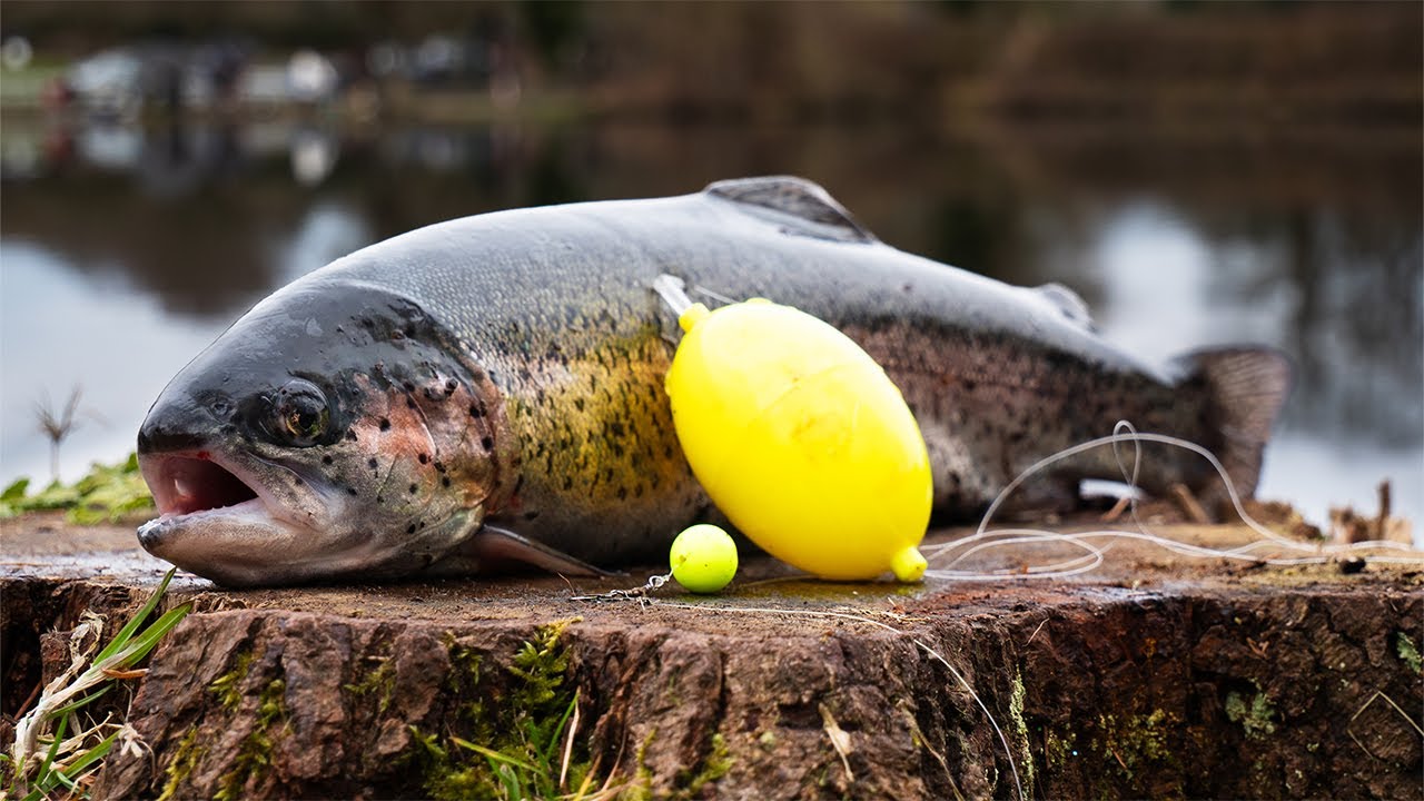 Forellenangeln mit der Wasserkugel - Super Einfach!