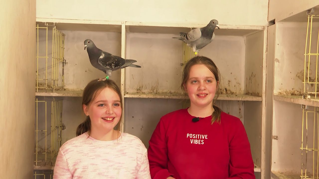 De Belgische Reisduif - Nieuw Talent - Kaat & Margot Bauters