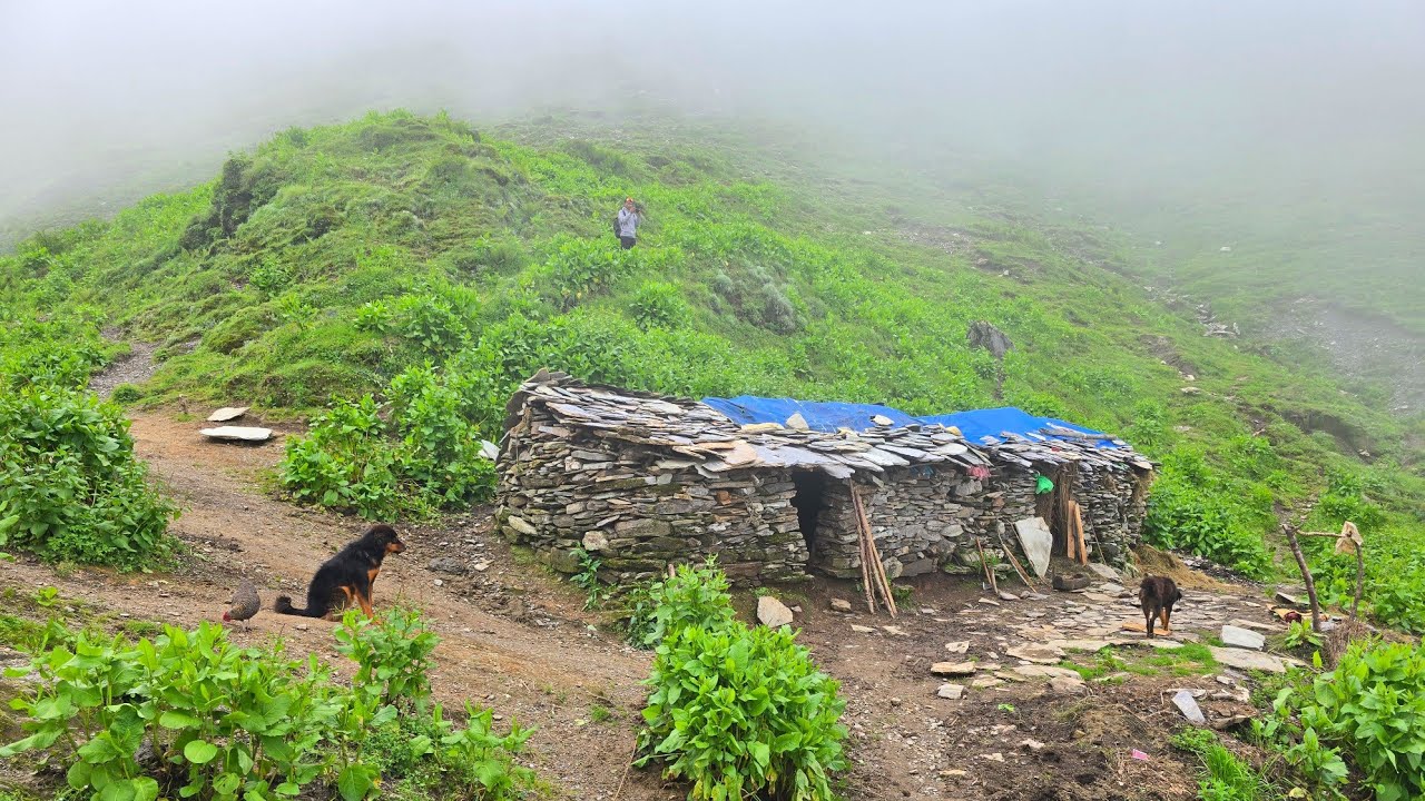 Nepali Mountain Village Life in Heavy Rain Time | Most Peaceful & Relaxing Village Life | Real Life