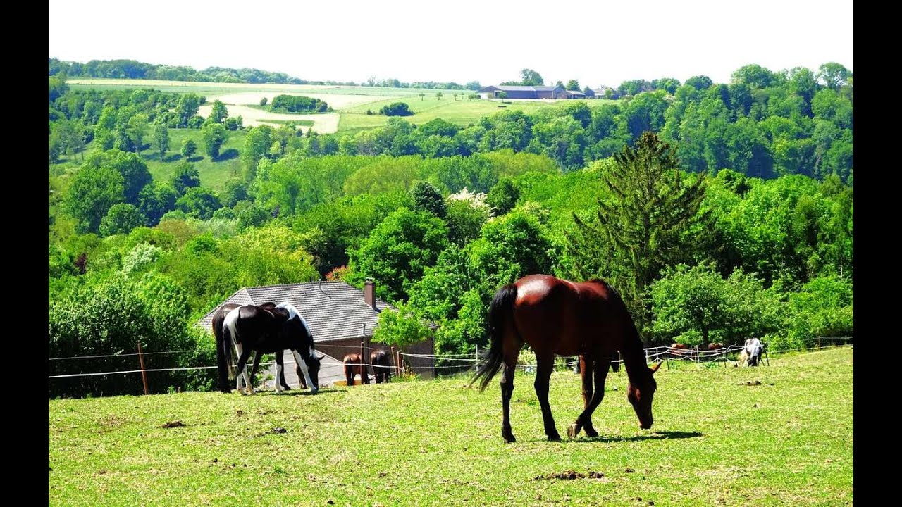 BEKOORLIJK AGRARISCH HEUVELLAND VAN ZUID-LIMBURG.