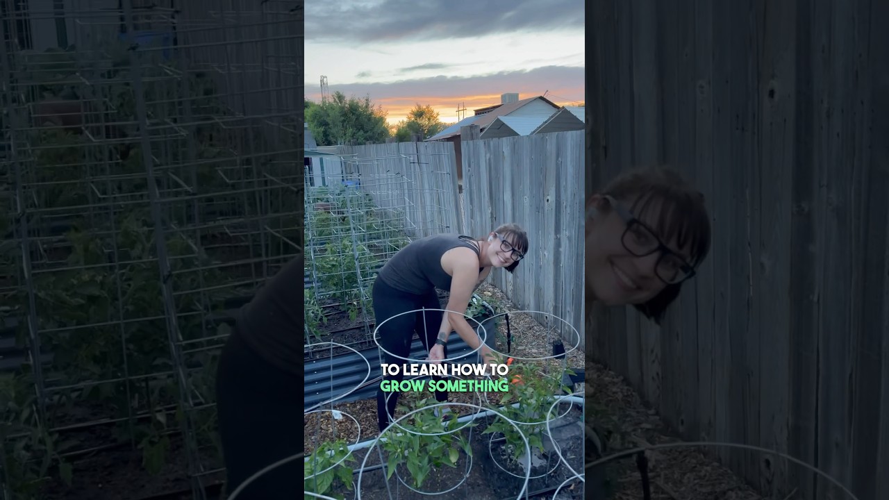 You&rsquo;ll Never Regret Growing And Storing Your Own Food!