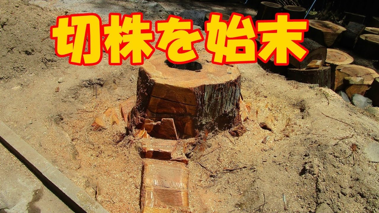 杉の切株の始末　ー　ボロ家暮らしの日常