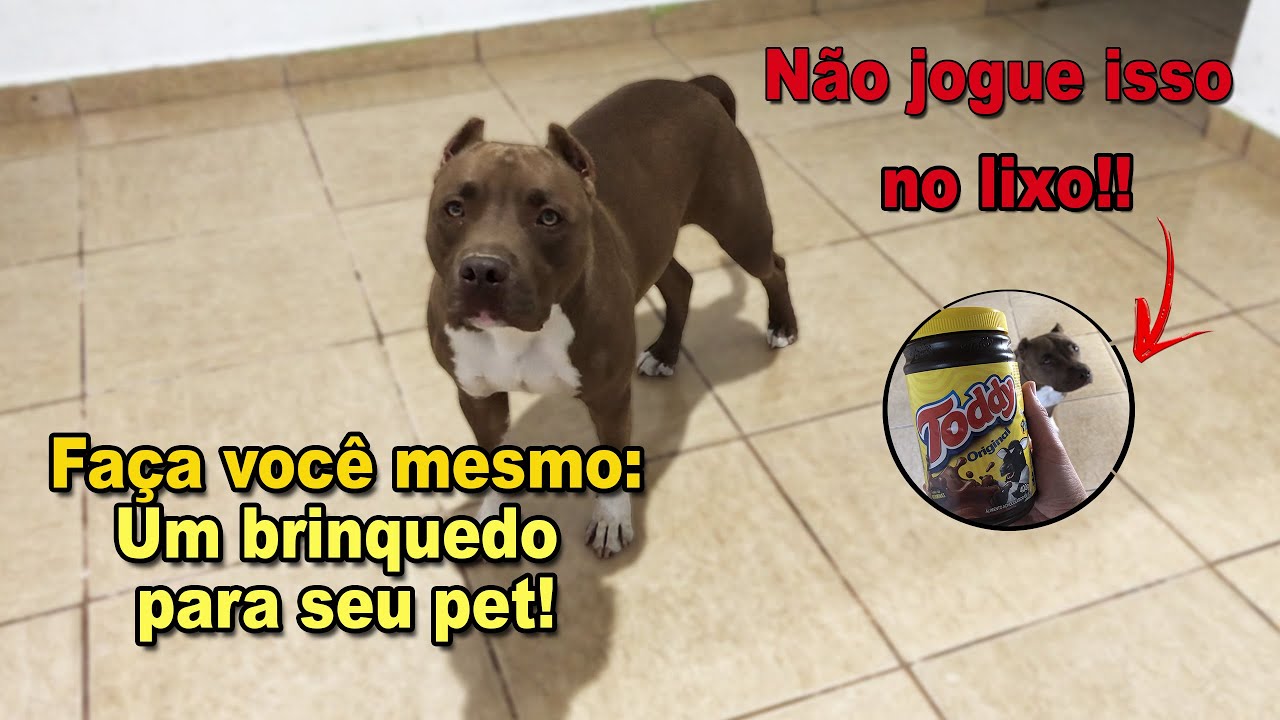Faça você mesmo: Brinquedo para cachorro dispenser de ração caseiro